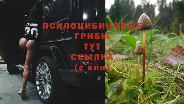 соль ск Надым