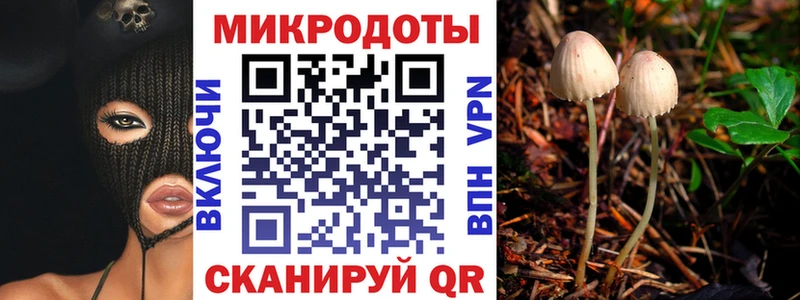 Псилоцибиновые грибы Psilocybine cubensis Подпорожье